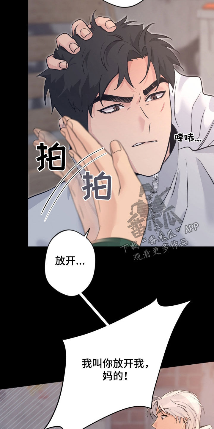 天使圣母折纸漫画,第31章：催眠1图