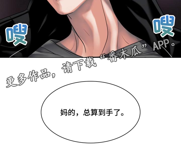 腐蚀的痛处漫画,第48章：总算到手了5图