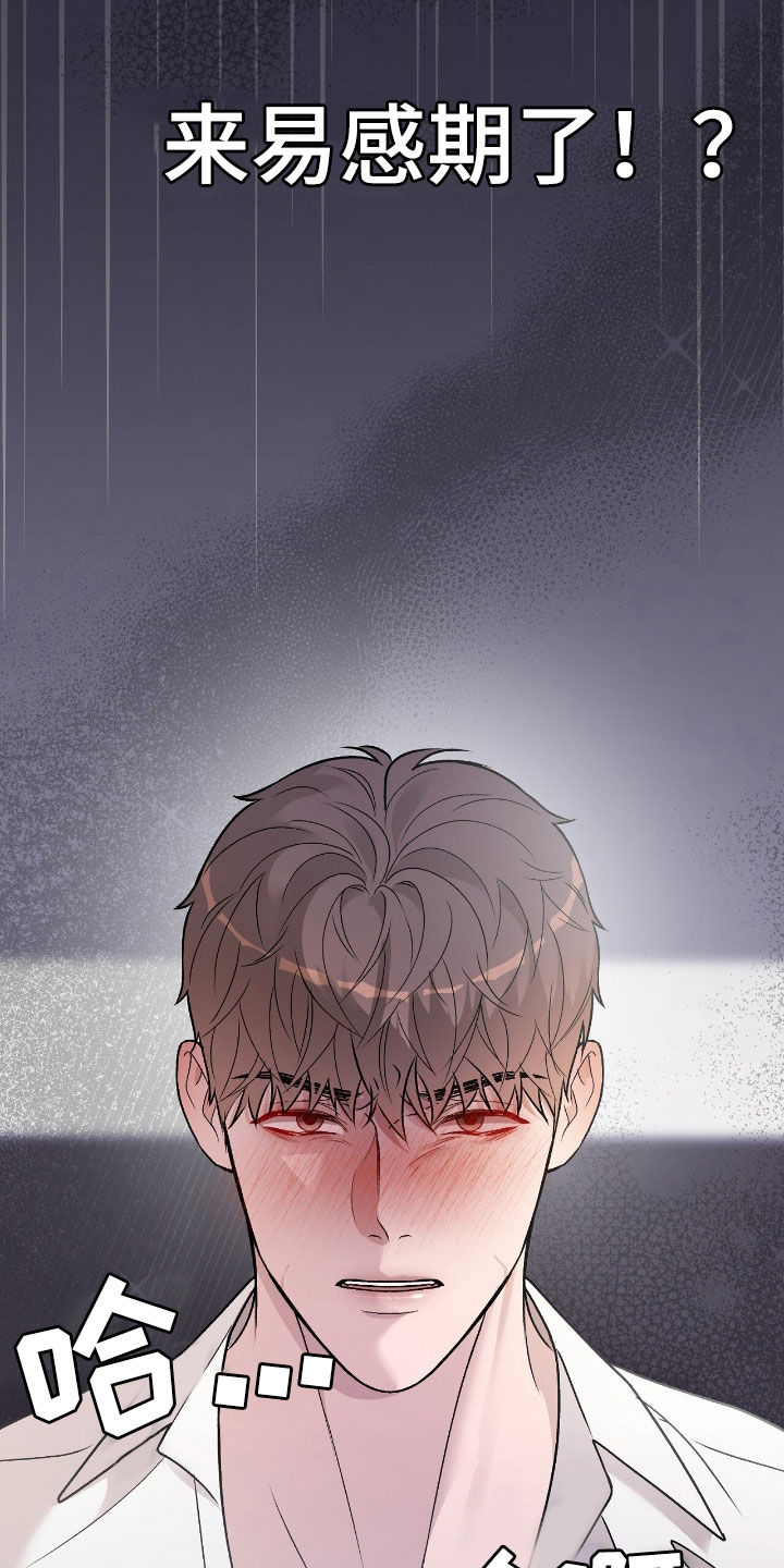 恶狗也疯狂漫画,第70章：你终于看我了2图