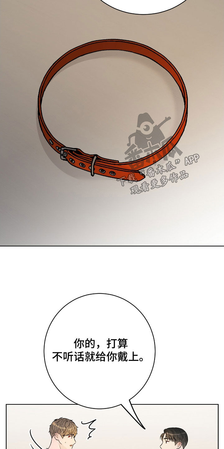 小奶狗的疯狂漫画,第66章：礼物5图