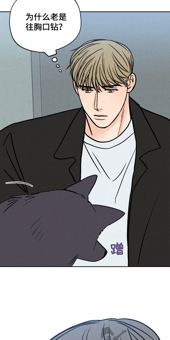 圆月变身漫画,第29章：无情1图