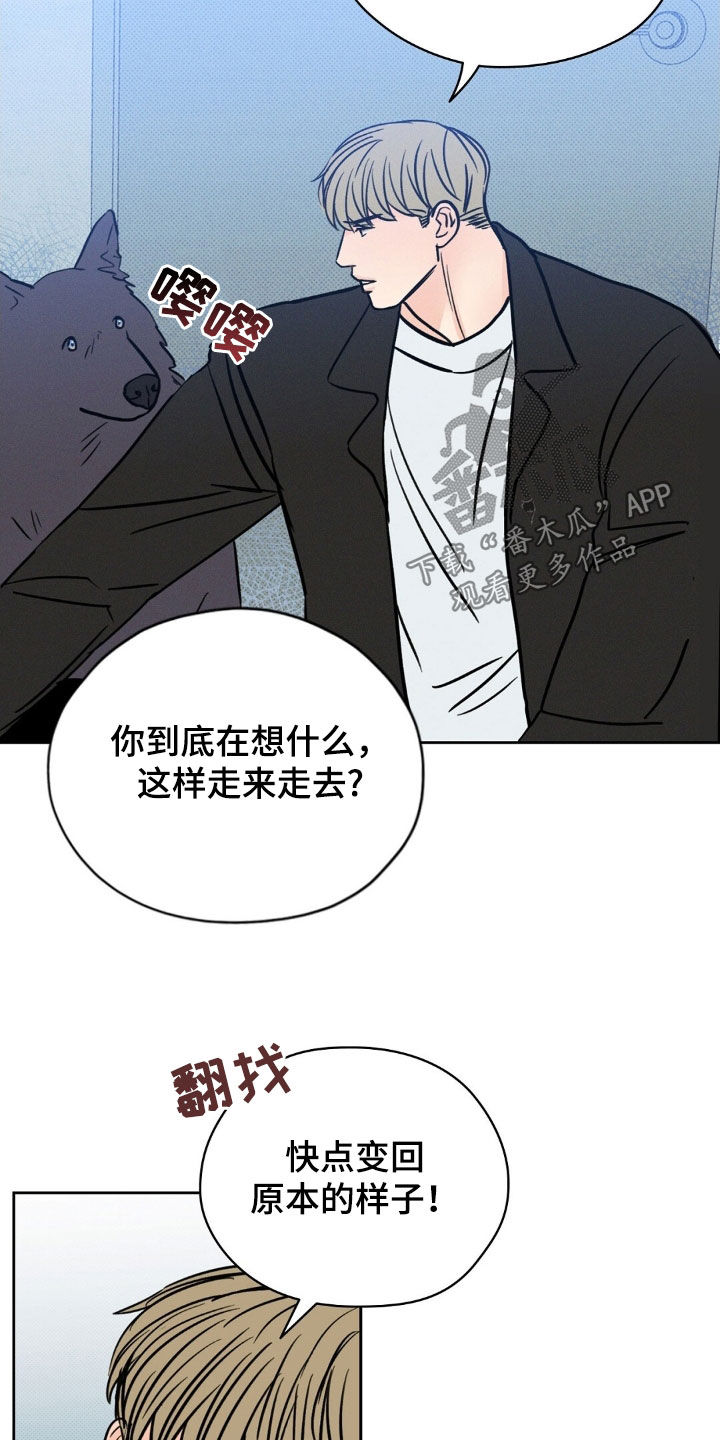 圆月变身漫画,第29章：无情3图