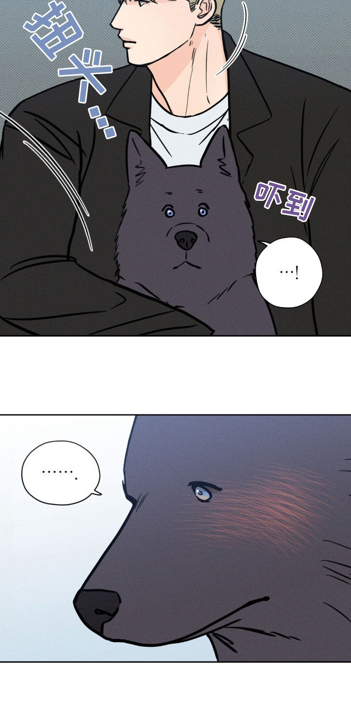 圆月变身漫画,第29章：无情3图