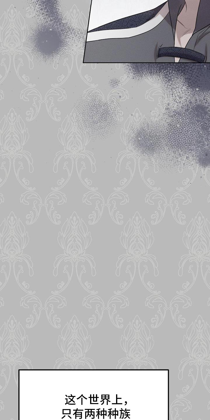 《白鸟奇遇记》简介漫画,第51章：伪装5图