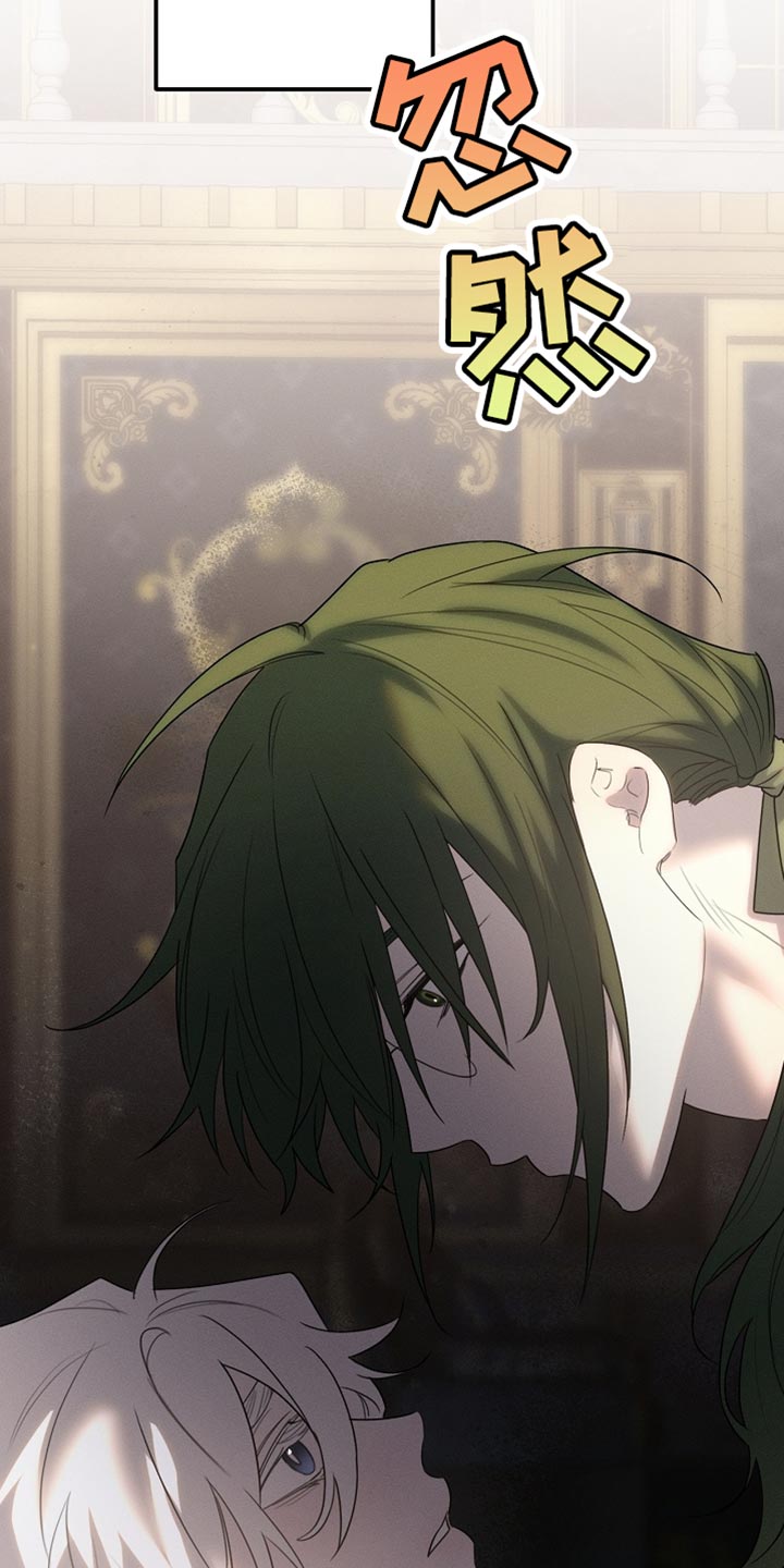 白鸟奇遇记1至200集漫画,第58章：甜美的梦乡1图