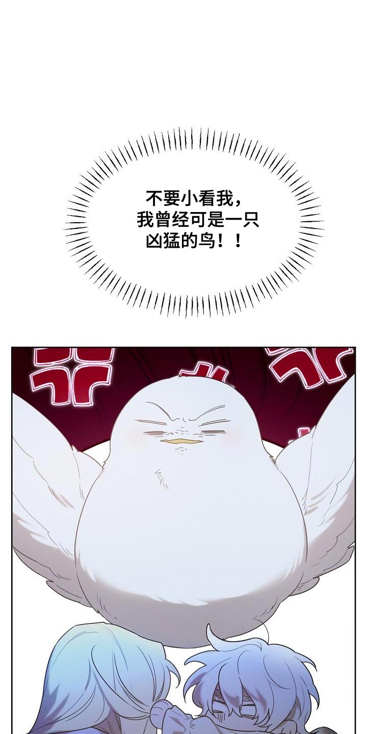 白鸟头发怎么获得漫画,第54章：马上离他远点2图