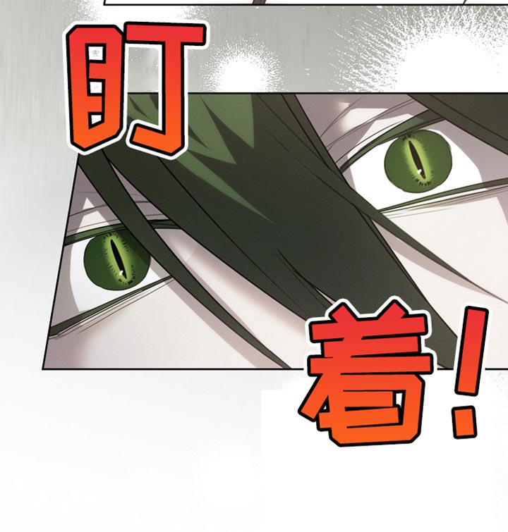 白鸟奇遇记1至200集漫画,第58章：甜美的梦乡3图