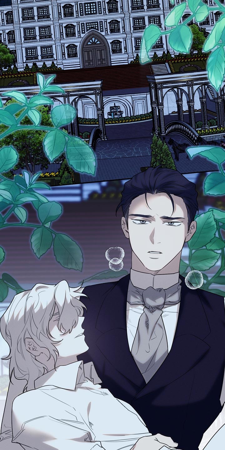 白鸟奇遇记又叫什么漫画,第57章：会没事的1图