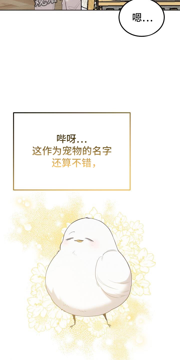 白鸟头发怎么获得漫画,第52章：可以叫我名字吗1图