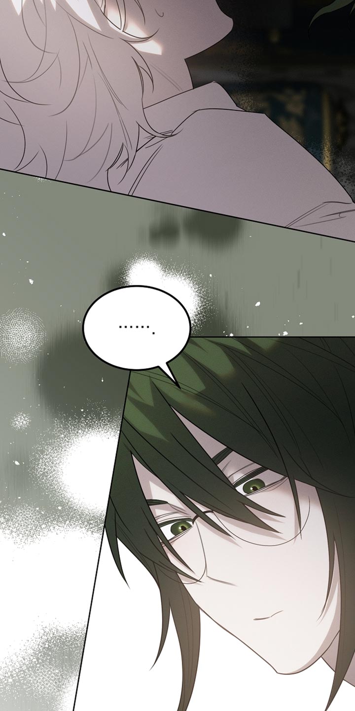 白鸟奇遇记1至200集漫画,第58章：甜美的梦乡2图