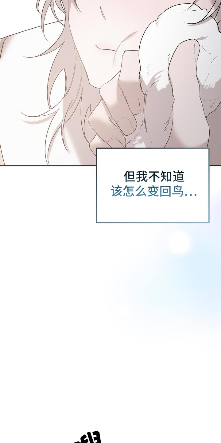 白鸟头发怎么获得漫画,第52章：可以叫我名字吗4图