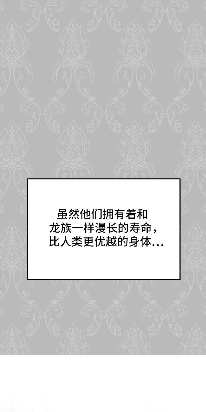 《白鸟奇遇记》简介漫画,第51章：伪装2图