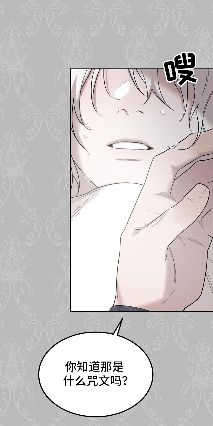 《白鸟奇遇记》简介漫画,第51章：伪装2图