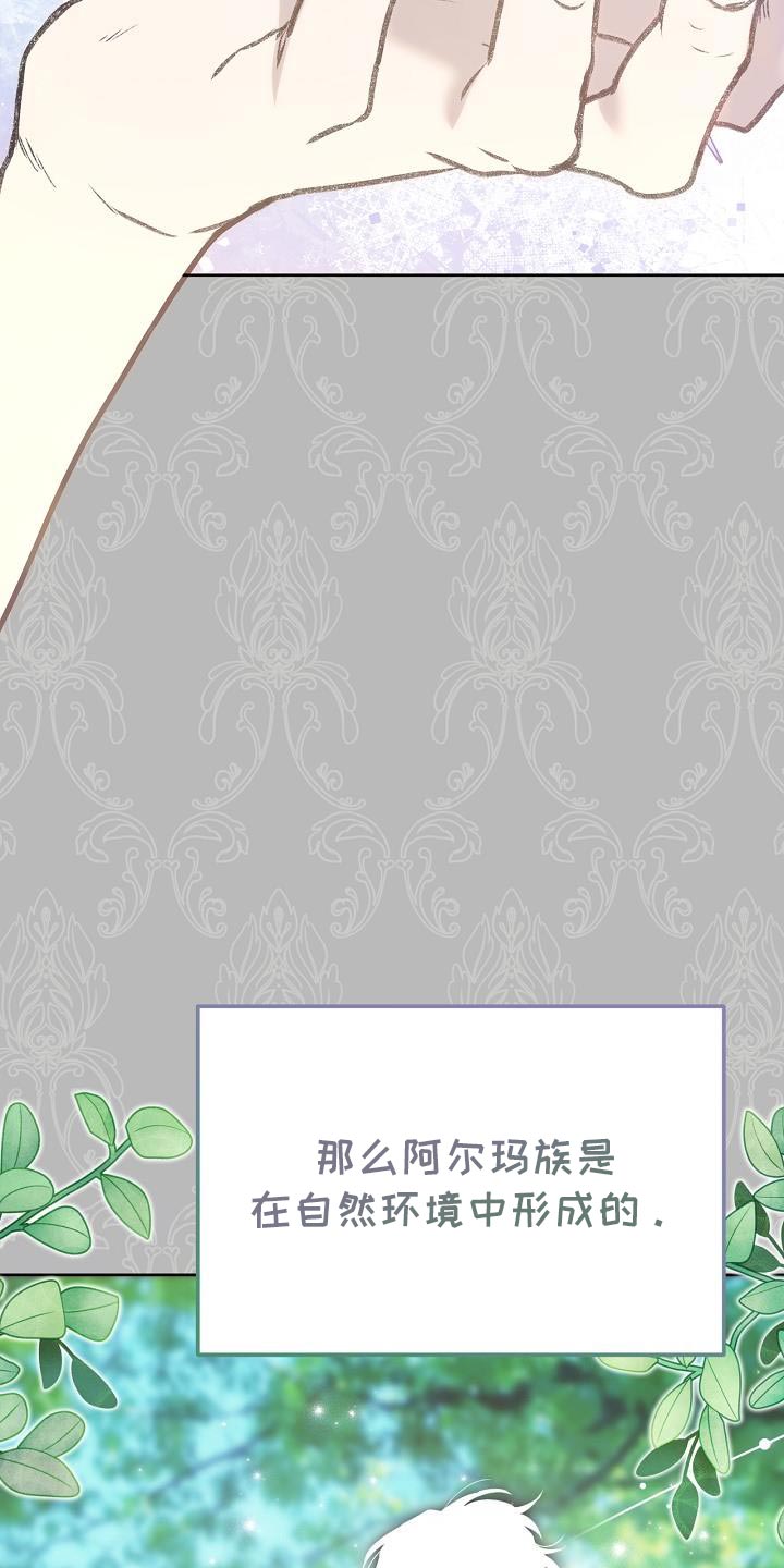 《白鸟奇遇记》简介漫画,第51章：伪装5图