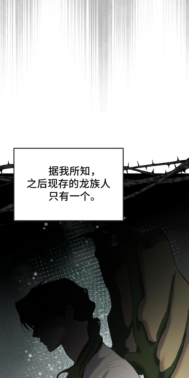 《白鸟奇遇记》简介漫画,第51章：伪装2图