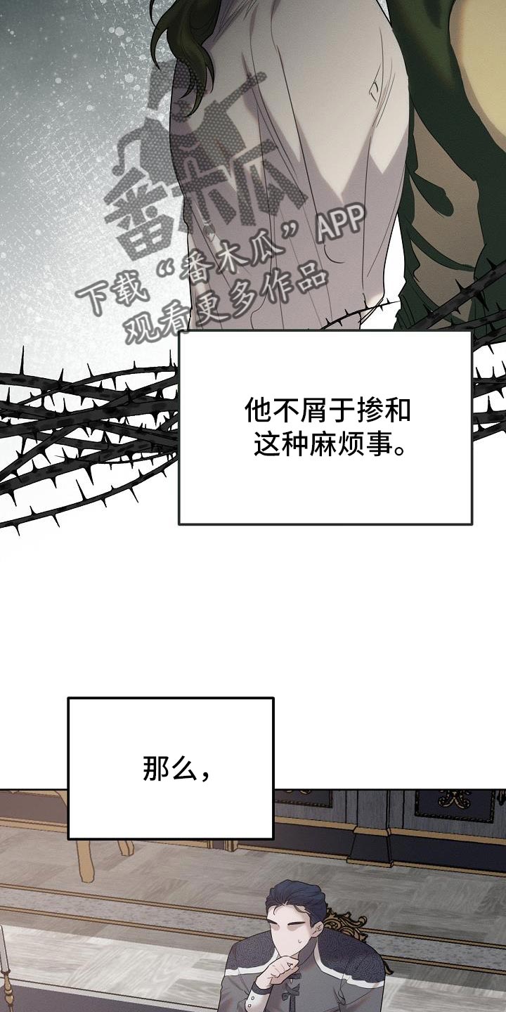 《白鸟奇遇记》简介漫画,第51章：伪装3图
