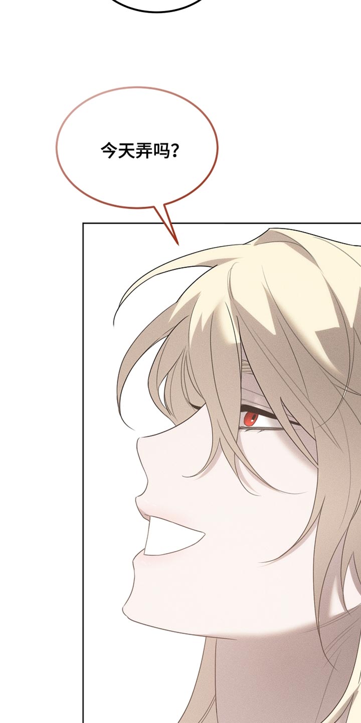 白鸟奇遇记漫画,第56章：我随时都可以1图