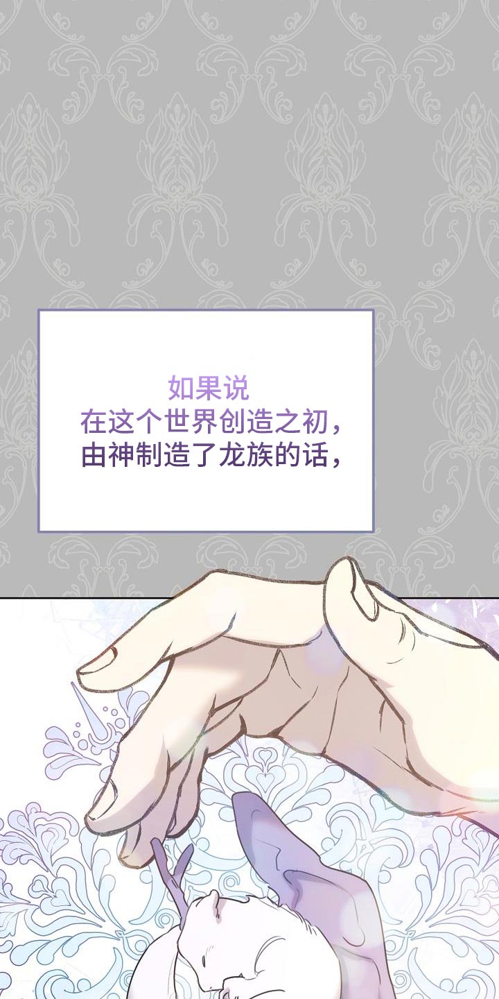 《白鸟奇遇记》简介漫画,第51章：伪装3图