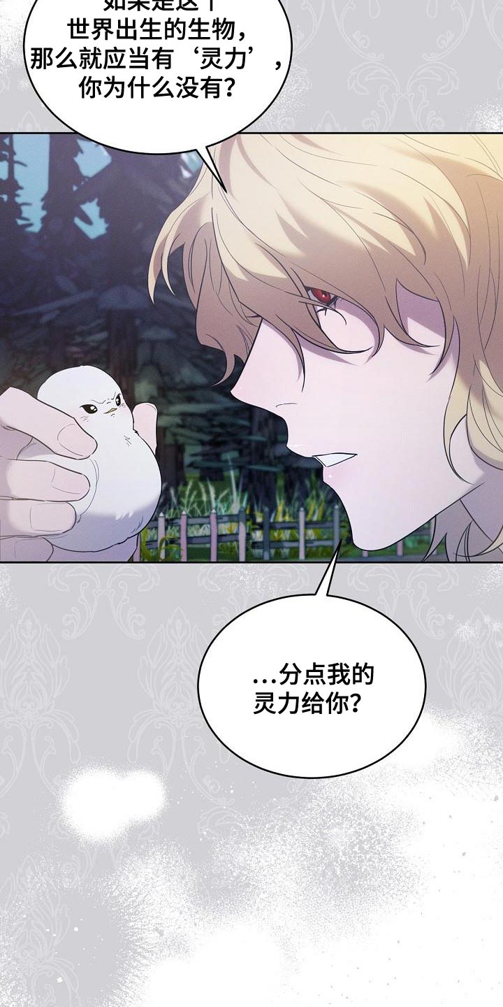 白鸟头发怎么获得漫画,第53章：不能生病4图