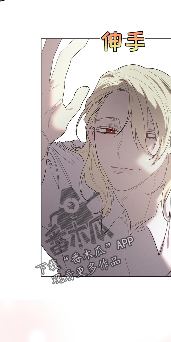 白鸟奇遇记漫画,第56章：我随时都可以2图