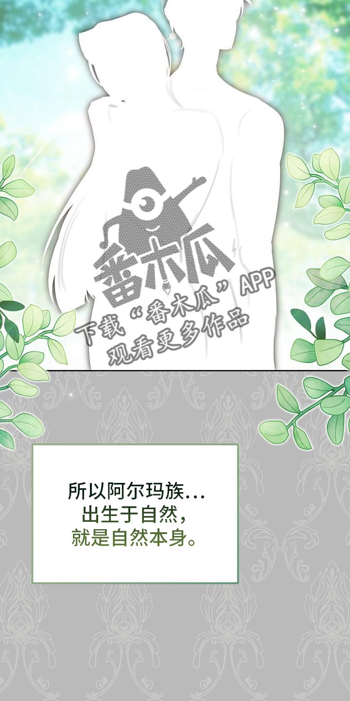 《白鸟奇遇记》简介漫画,第51章：伪装1图