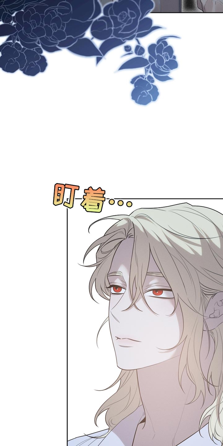 白鸟座漫画,第55章：应该要去别的地方5图