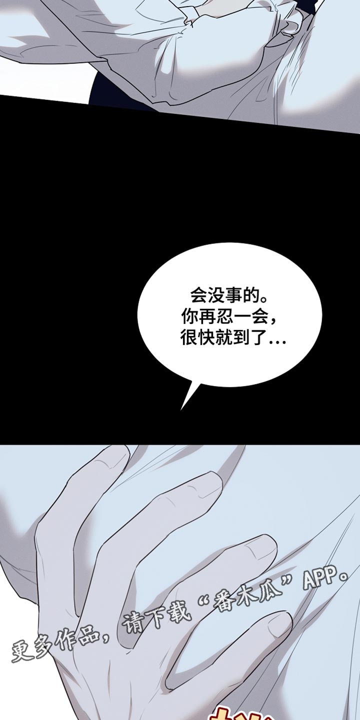 白鸟奇遇记又叫什么漫画,第57章：会没事的2图