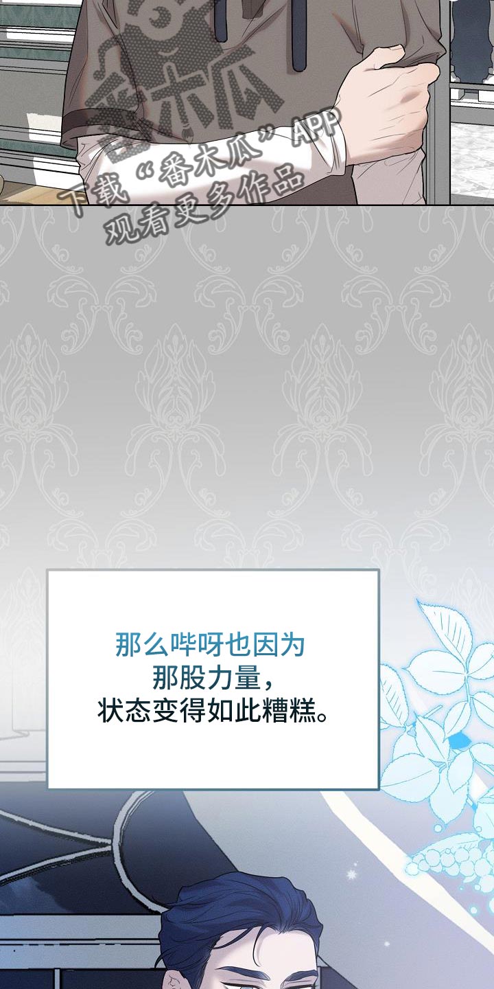 《白鸟奇遇记》简介漫画,第51章：伪装5图