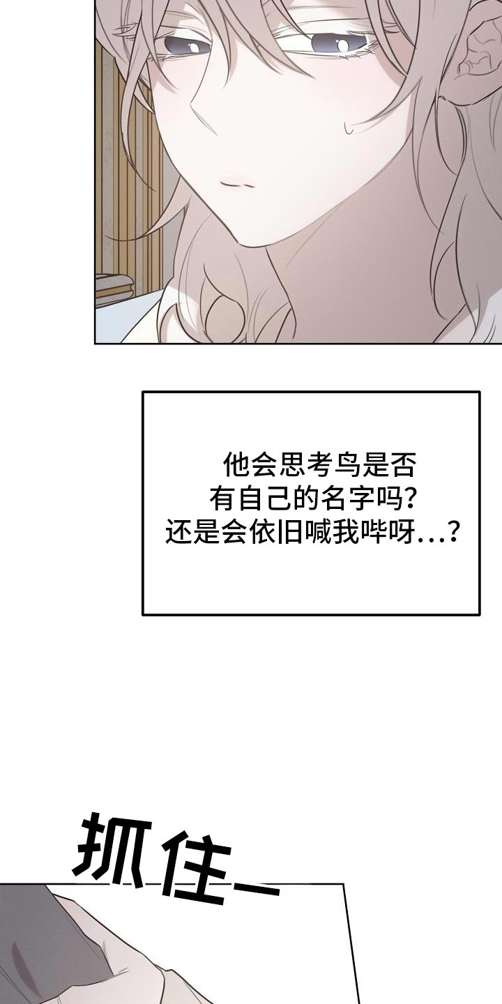 白鸟头发怎么获得漫画,第52章：可以叫我名字吗4图