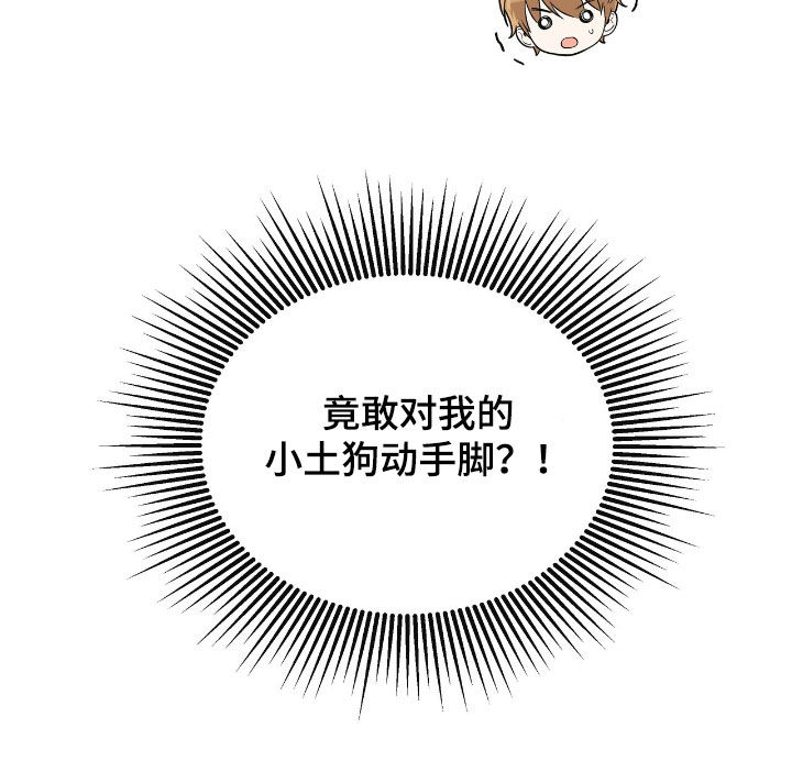他的专属小狗漫画,第34章：这个混蛋4图