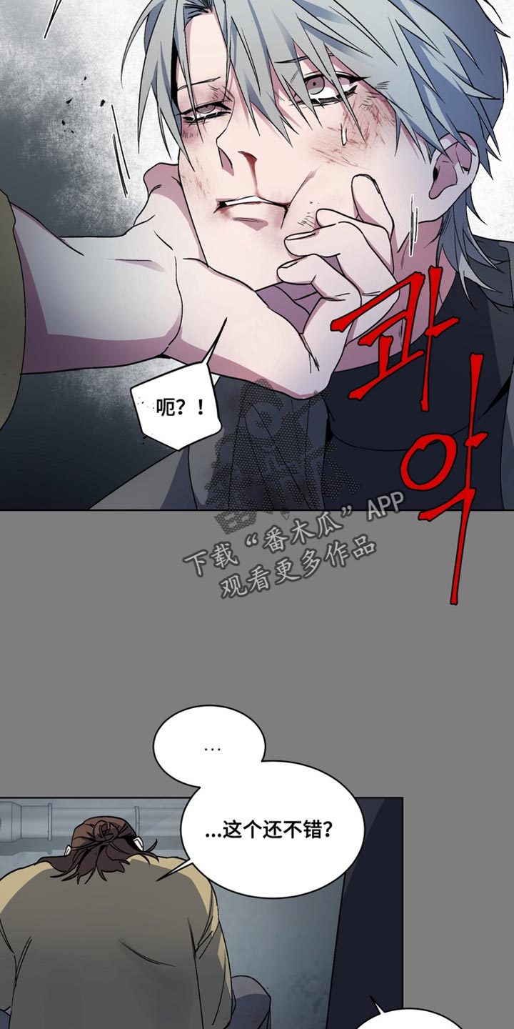 忠犬狂欢解说漫画,第71章：【番外】末日有什么不可以5图