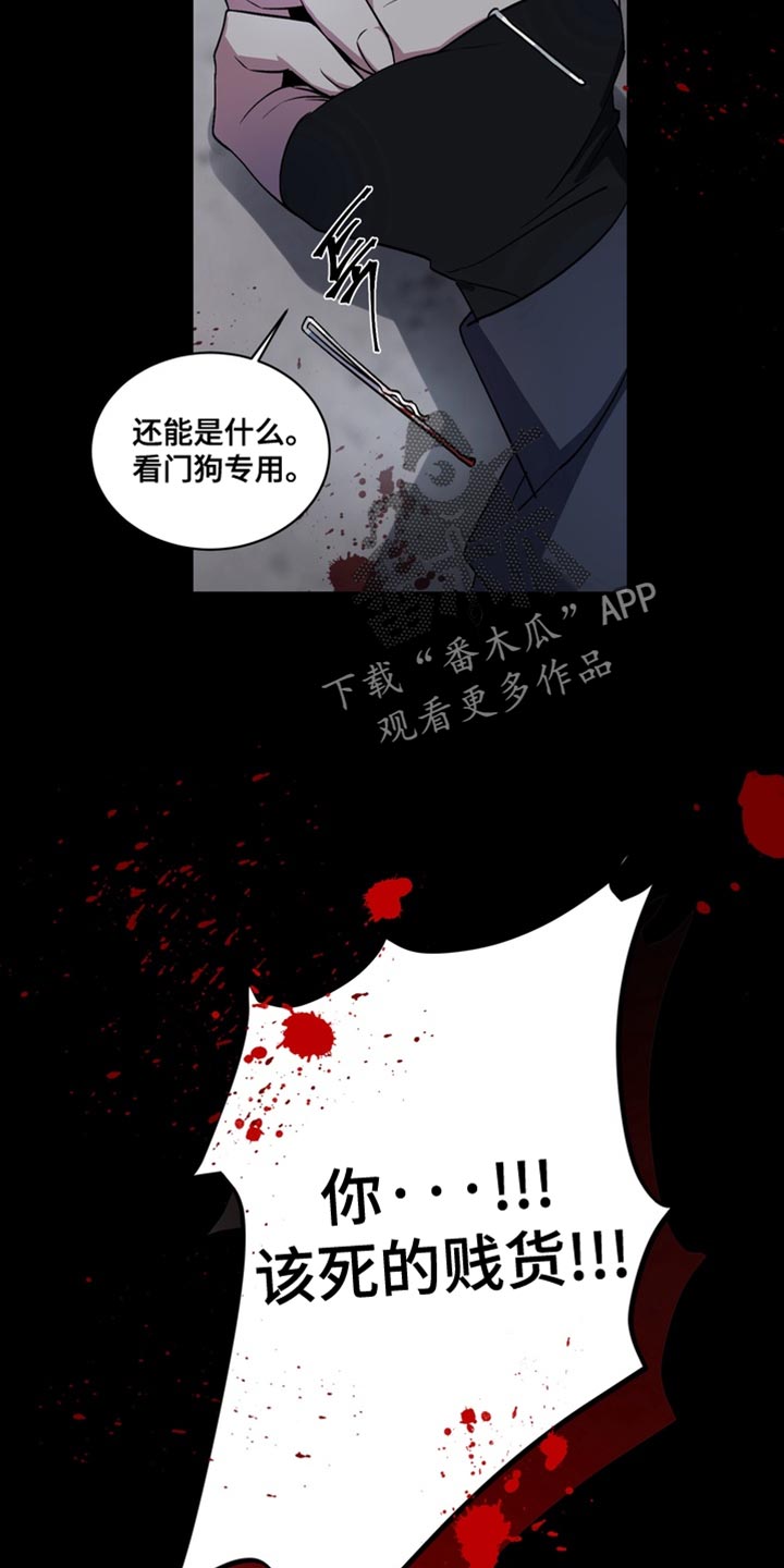 忠犬狂欢漫画免费下拉式漫画,第72章：【番外】正确的选择1图