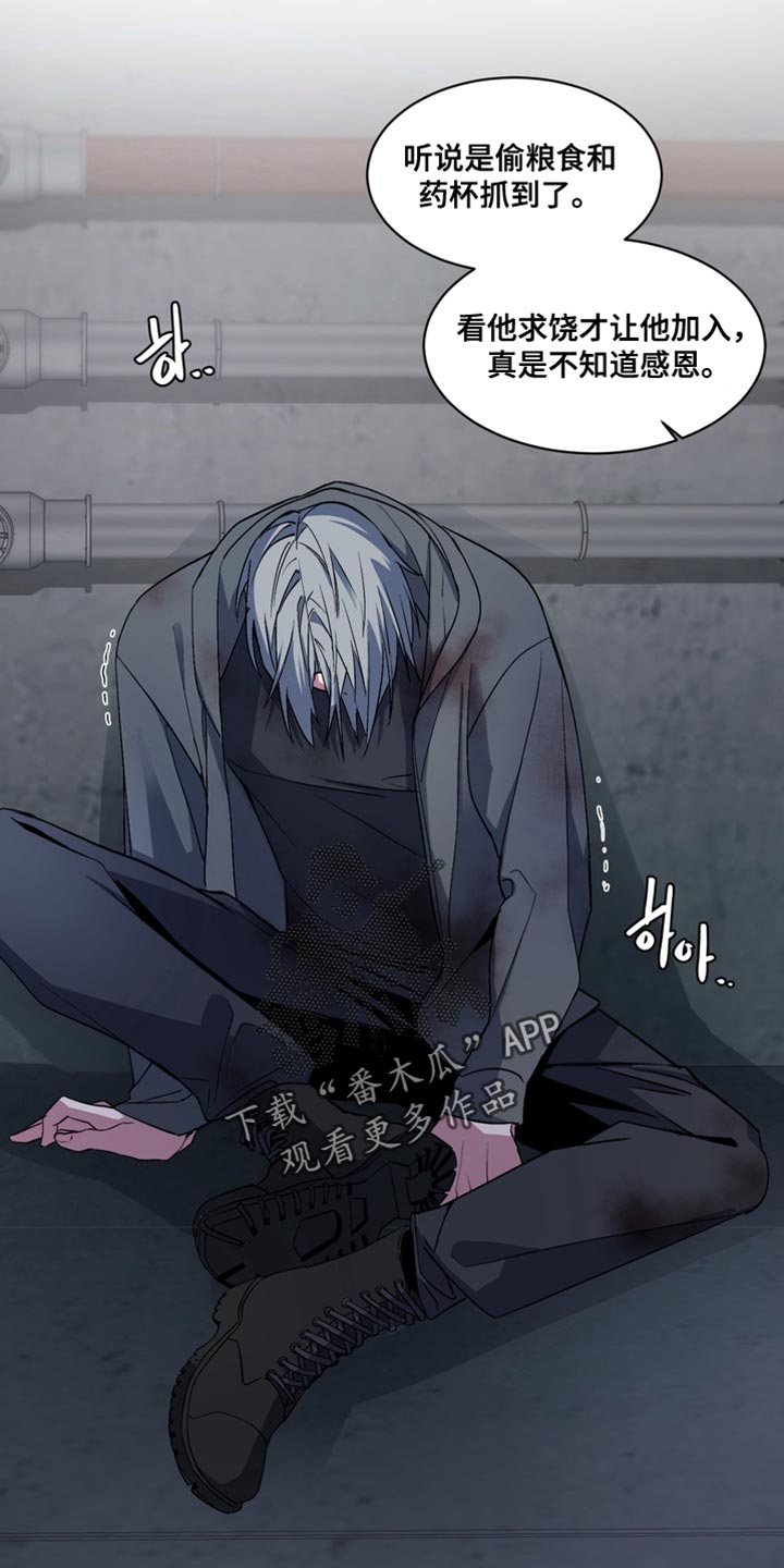 忠犬狂欢解说漫画,第71章：【番外】末日有什么不可以1图