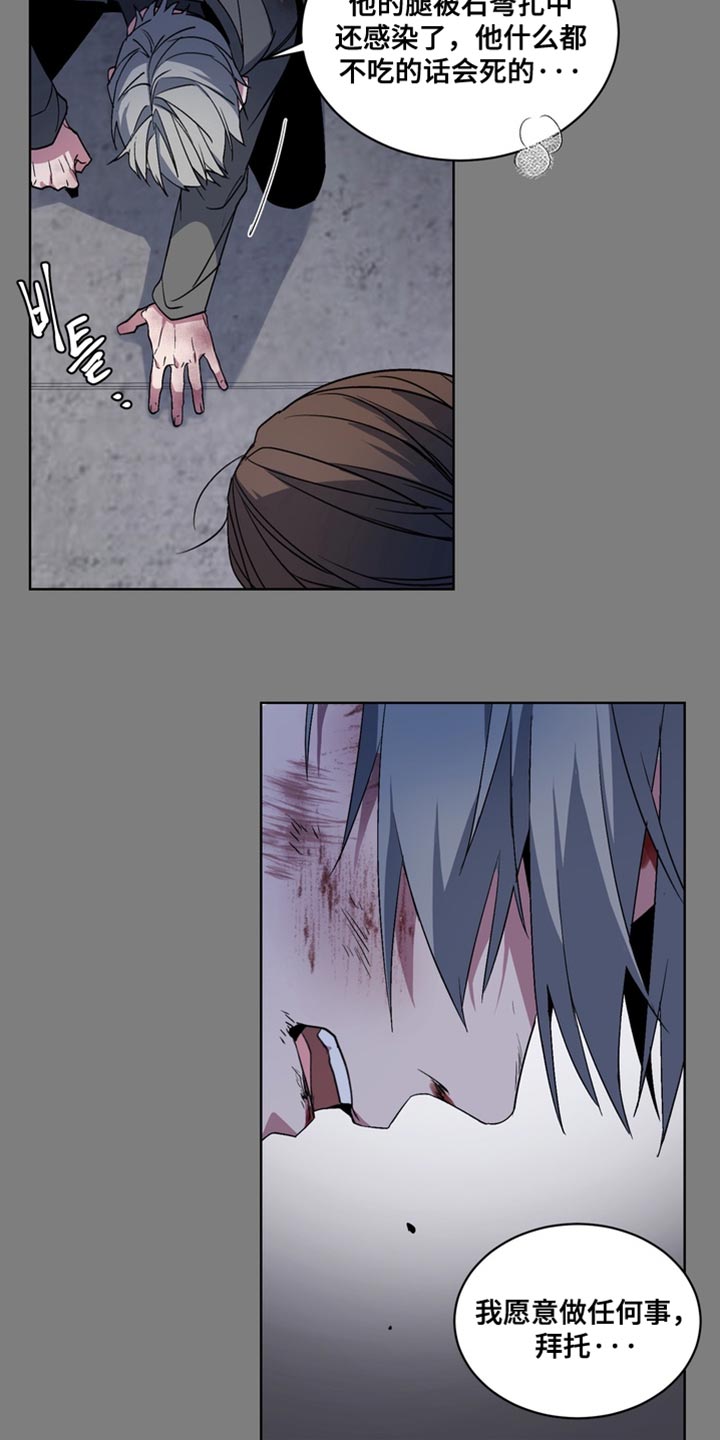 忠犬狂欢解说漫画,第71章：【番外】末日有什么不可以3图