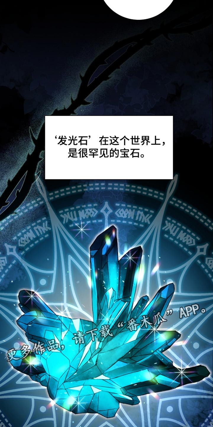 皇家教师漫画,第42章：发光石5图