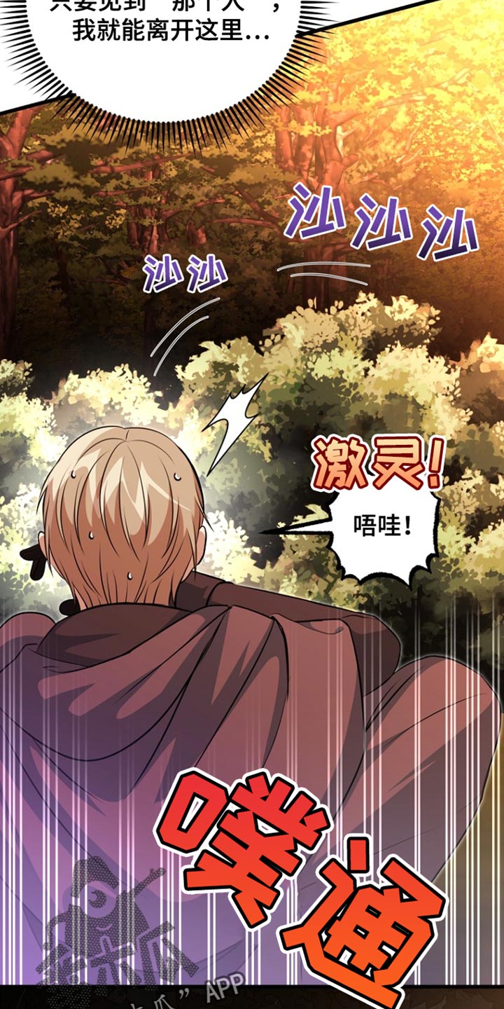 皇家教师漫画,第43章：太可惜了5图