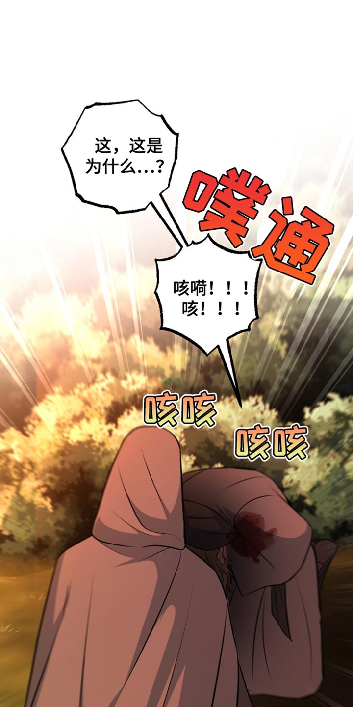 皇家师妲漫画,第43章：太可惜了2图