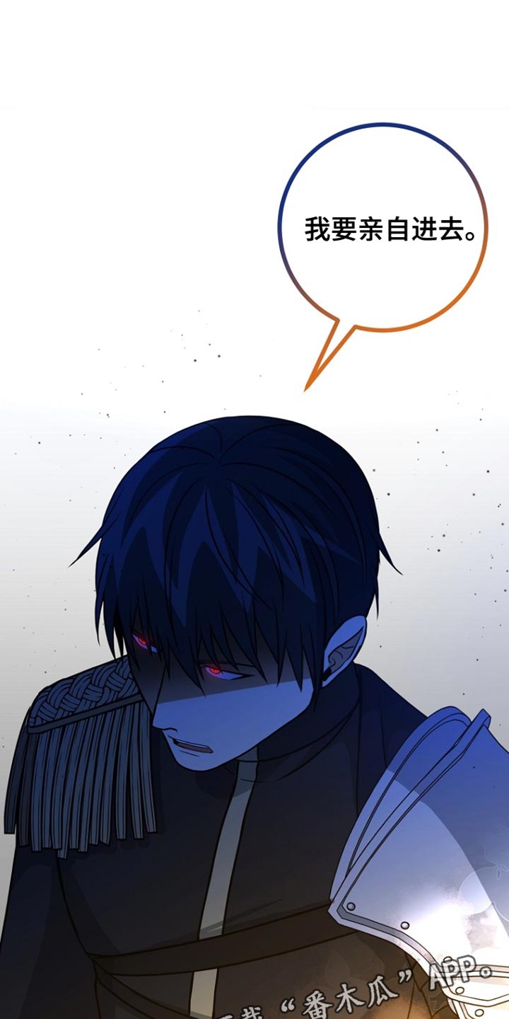 皇家师妲漫画,第41章：我要亲自进去5图