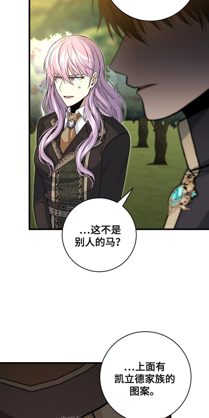 皇家师妲漫画,第41章：我要亲自进去1图