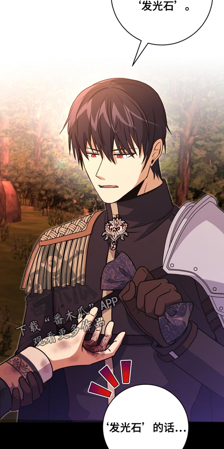 皇家教师漫画,第42章：发光石4图