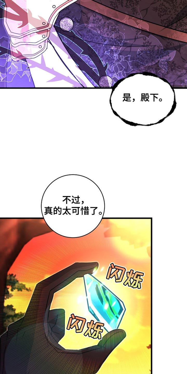 皇家师妲漫画,第43章：太可惜了5图