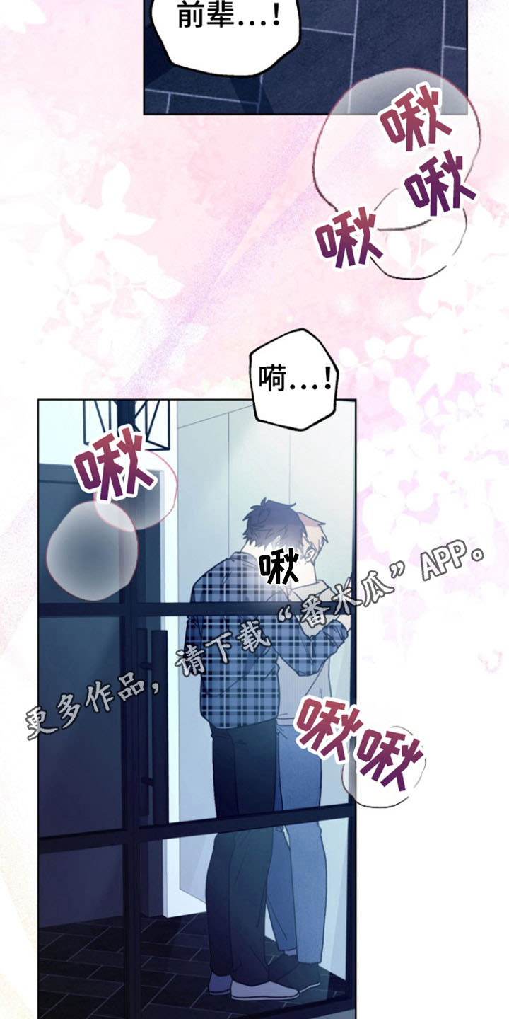 被大灰狼盯上漫画,第23章：我喜欢你5图
