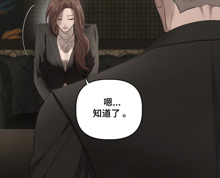 伪装与秘密漫画,第36章：2图