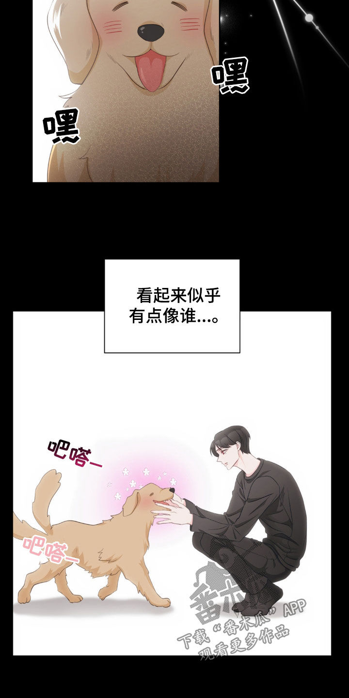 小心我吸干你漫画,第21章：没有感情2图