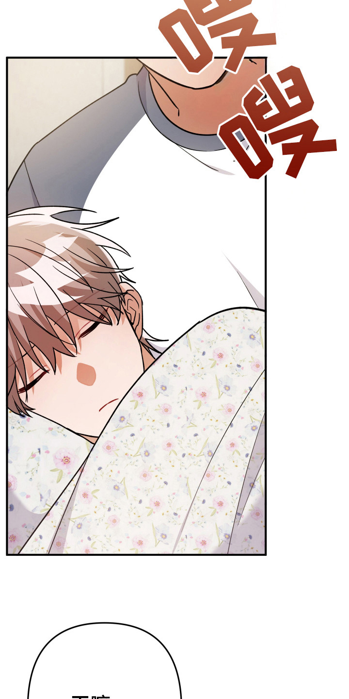 灰熊的玫瑰住宅免费漫画,第27章：没发烧5图