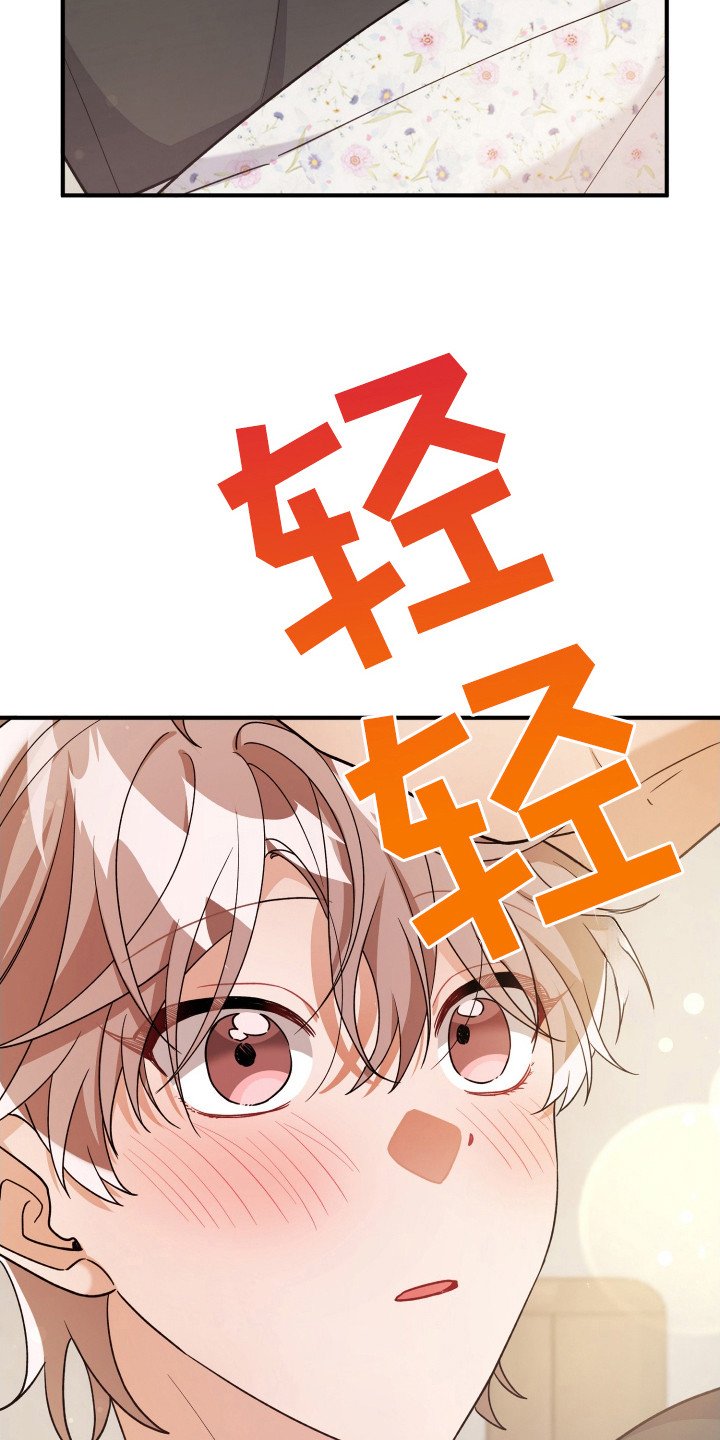 灰熊的玫瑰住宅免费漫画,第27章：没发烧4图