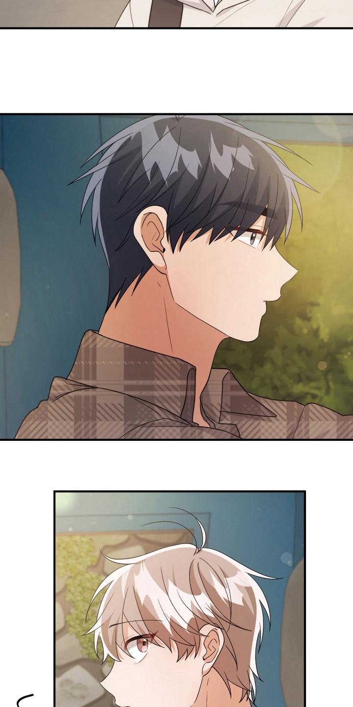 灰熊丘陵房屋漫画,第29章：怎么回事4图