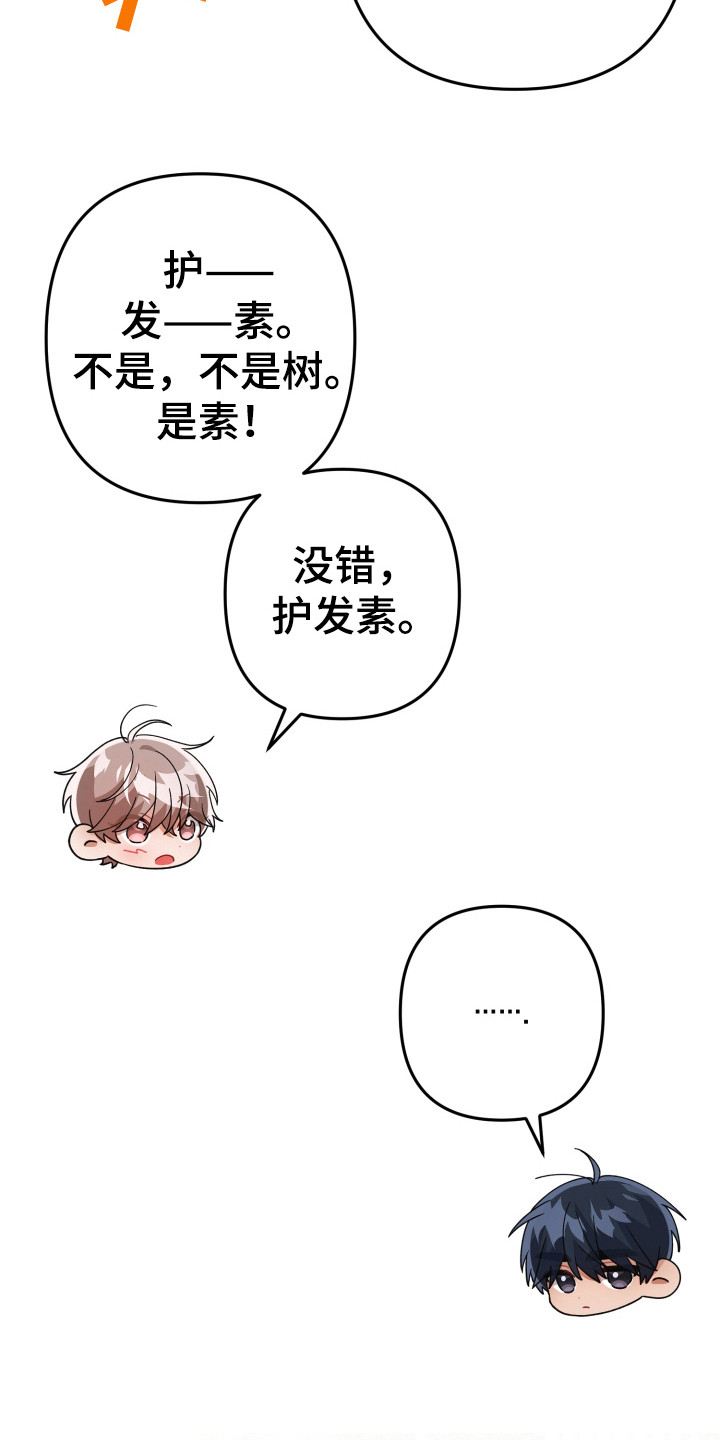 灰熊的玫瑰住宅漫画,第29章：怎么回事3图