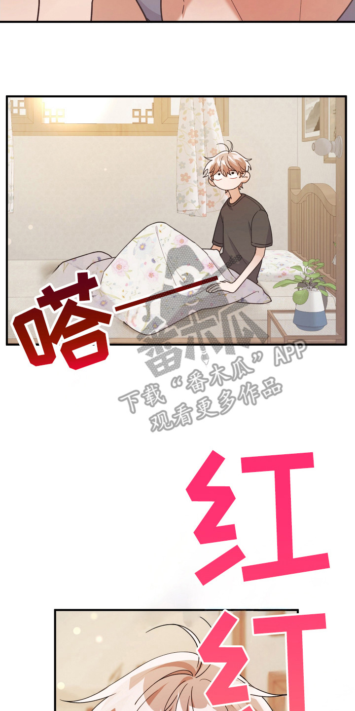 灰熊的玫瑰住宅免费漫画,第27章：没发烧1图