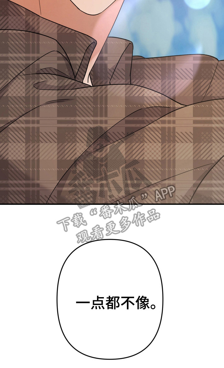 灰熊的玫瑰住宅漫画,第31章：不像4图